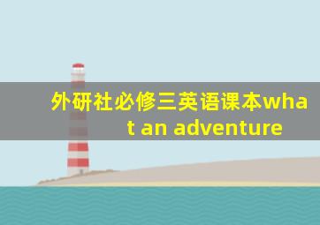 外研社必修三英语课本what an adventure